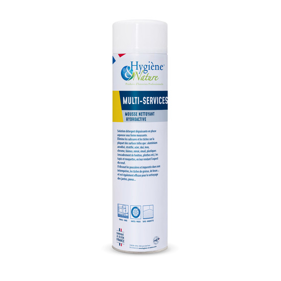 AEROSOL MULTI SERVICES - 750ML